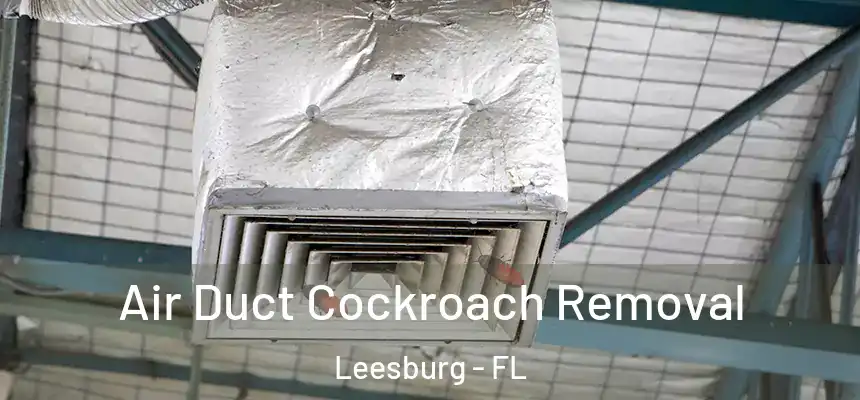 Air Duct Cockroach Removal Leesburg - FL
