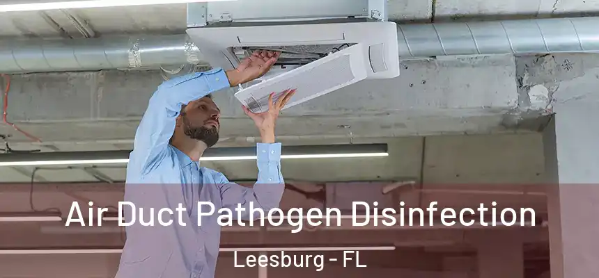 Air Duct Pathogen Disinfection Leesburg - FL