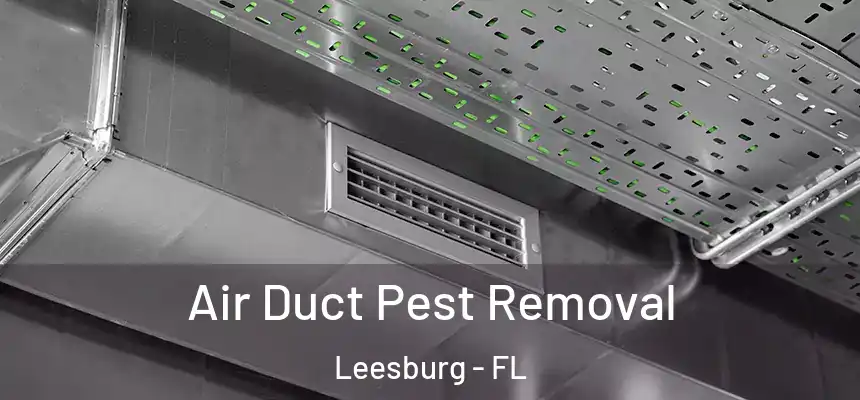 Air Duct Pest Removal Leesburg - FL