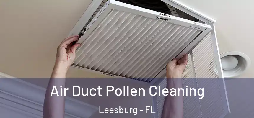 Air Duct Pollen Cleaning Leesburg - FL