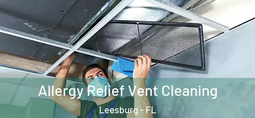 Allergy Relief Vent Cleaning Leesburg - FL