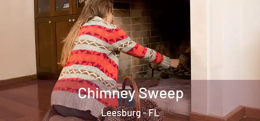 Chimney Sweep Leesburg - FL