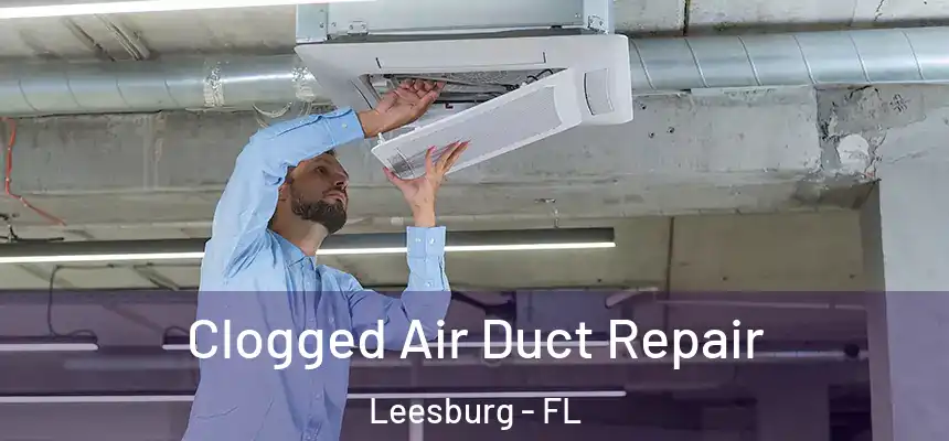 Clogged Air Duct Repair Leesburg - FL