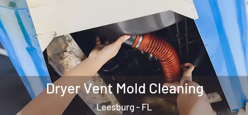 Dryer Vent Mold Cleaning Leesburg - FL