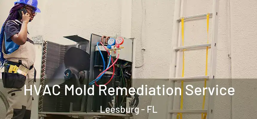 HVAC Mold Remediation Service Leesburg - FL