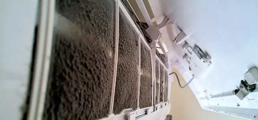 Preventive Air Duct Bacteria Removal in Leesburg