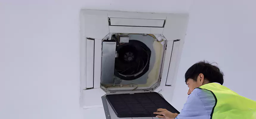 Our Dryer Vent Sanitization Service Services in Leesburg, FL