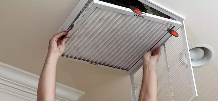 Our Insect Removal from Air Ducts Services in Leesburg, FL