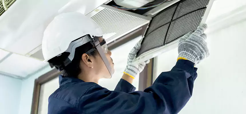 Our Mold & Mildew Removal from Air Ducts Services in Leesburg, FL