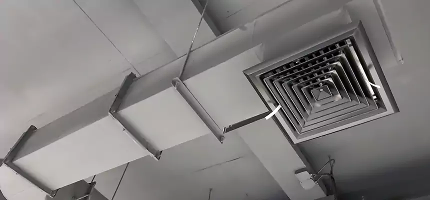 Our Pest Removal From Ducts Services in Leesburg, FL