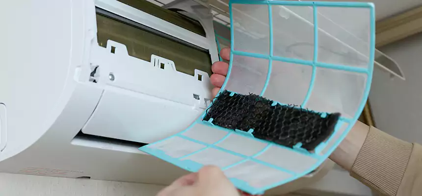 Gentle Ductwork Odor-Control Pet Dander Duct Cleaning in Leesburg, FL