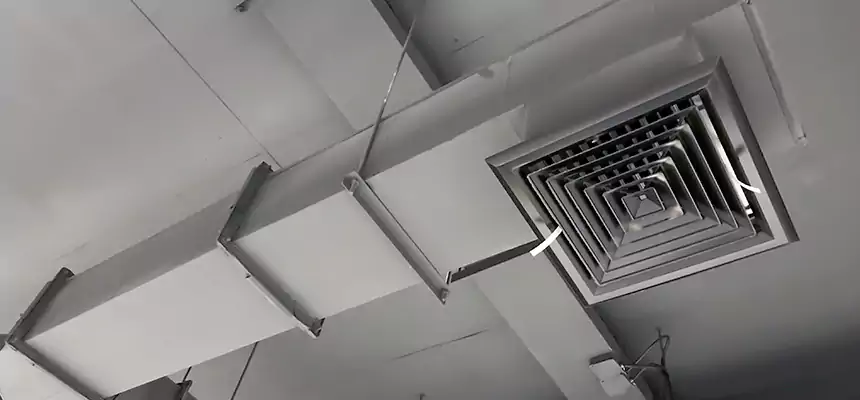 Our Rodent Droppings In Vents Services in Leesburg, FL