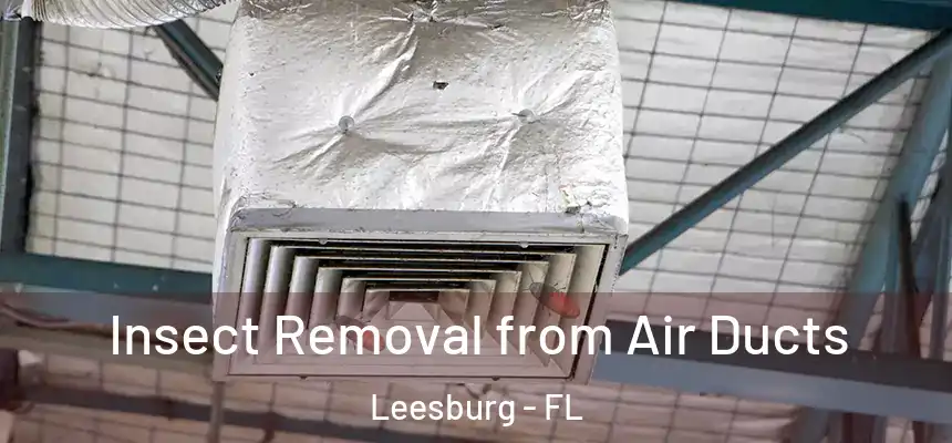 Insect Removal from Air Ducts Leesburg - FL