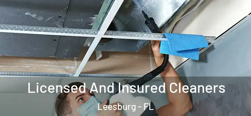 Licensed And Insured Cleaners Leesburg - FL