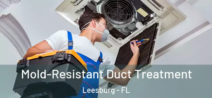 Mold-Resistant Duct Treatment Leesburg - FL