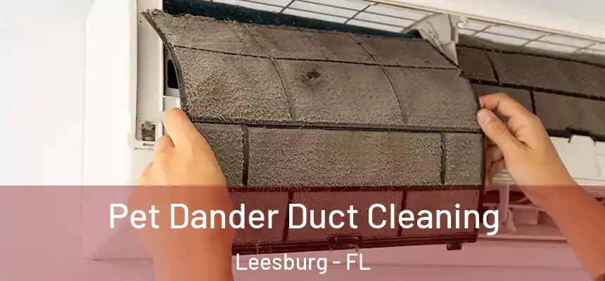 Pet Dander Duct Cleaning Leesburg - FL