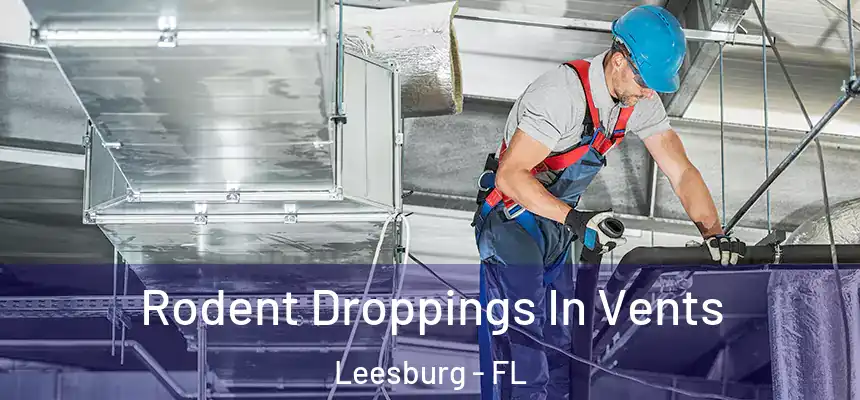 Rodent Droppings In Vents Leesburg - FL