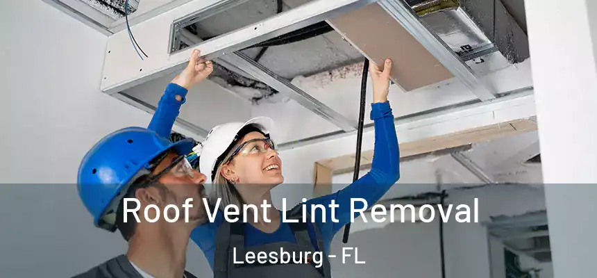 Roof Vent Lint Removal Leesburg - FL