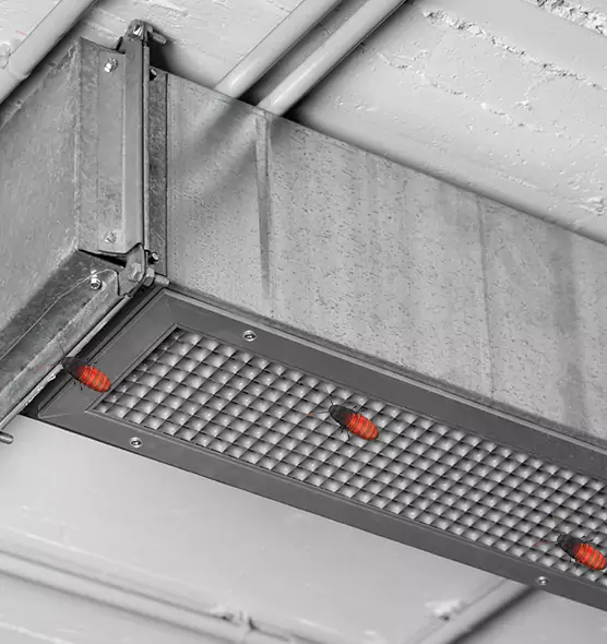 About Air Duct Cockroach Removal in Leesburg, FL
