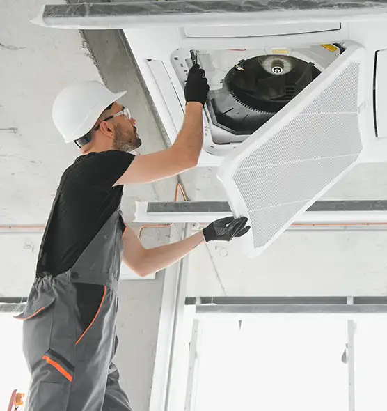 About Air Duct Rodent Removal in Leesburg, FL