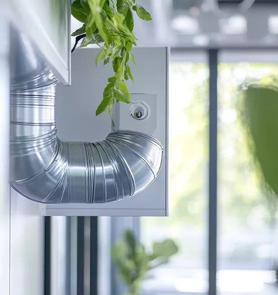 Professional Eco-Safe Dryer Vent Cleaning in Leesburg, FL