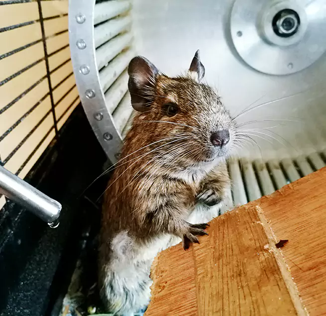 Why Homeowners & Businesses Trust Us Leesburg, FL?