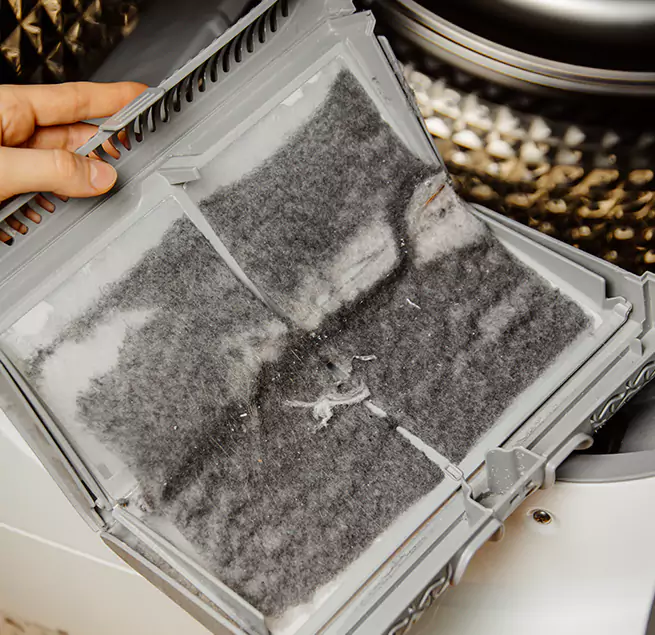 Why Homeowners & Businesses Trust Us Leesburg, FL?