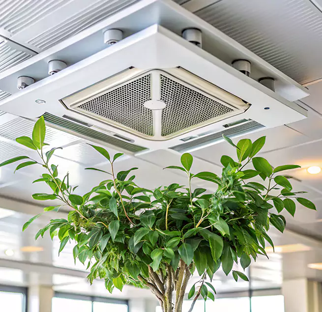 Why Homeowners & Businesses Trust Us in Leesburg, FL?