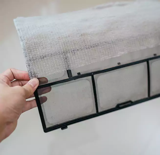 Why Homeowners & Businesses Trust Us in Leesburg, FL?