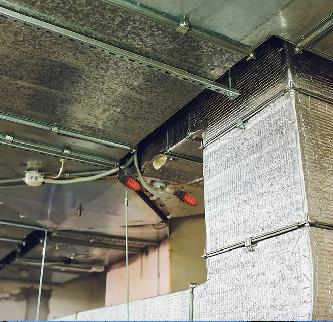 Why Homeowners & Businesses Trust Us Leesburg, FL?