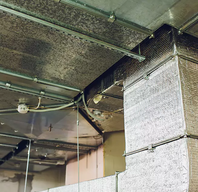 Why Homeowners & Businesses Trust Us in Leesburg, FL?