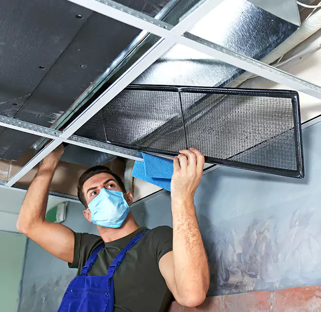 Why Homeowners & Businesses Trust Us in Leesburg, FL?