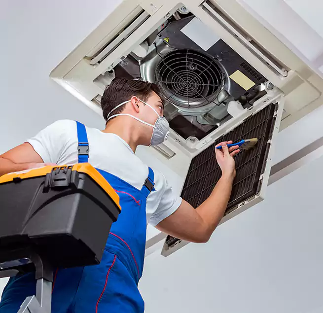 Why Homeowners & Businesses Trust Us in Leesburg, FL?